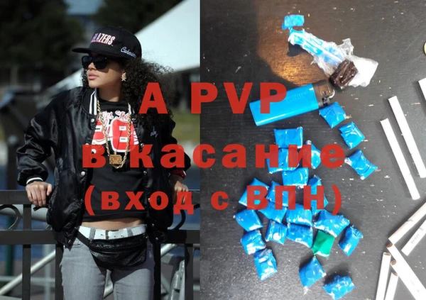 гашик Ладушкин