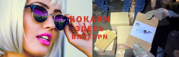 гашик Ладушкин