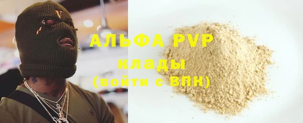 гашик Ладушкин