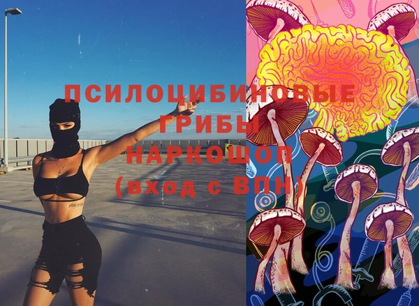 трава Лабытнанги