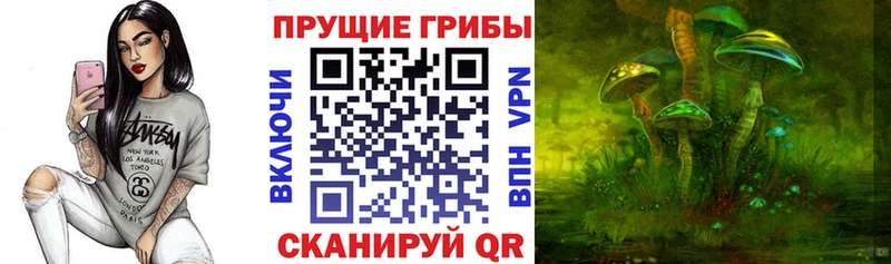Купить где  Амурск  Псилоцибиновые грибы прущие грибы 